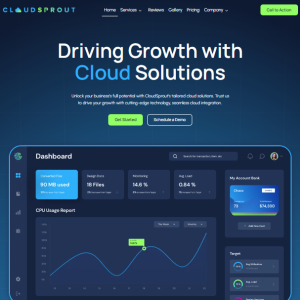 Tema Custom Website 1
