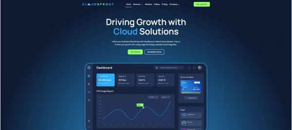 Tema Custom Website 1