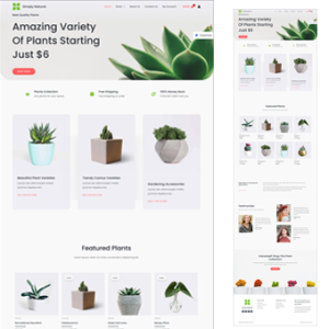 Paket EliteVision Site Ekslusif