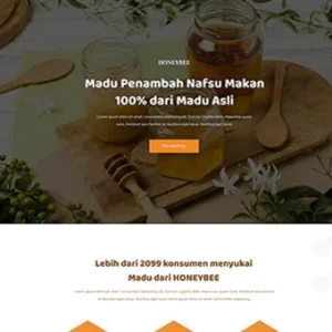 Paket WebBae