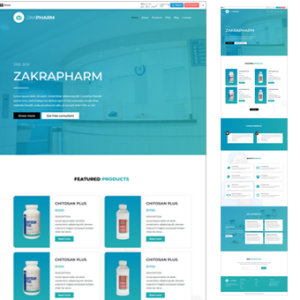 Paket VintixWeb Premium