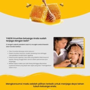 Paket SimpleSite